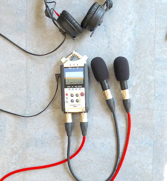 Pluggy XLR Primo EM272Z1 Microphone - micbooster.com