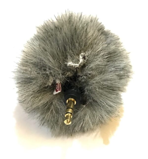 Mini Pluggy with Rycote Windjammer