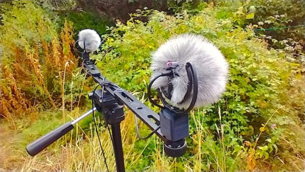 Field Recording Kit with Stereo Clippy Microphones 3.5 mm