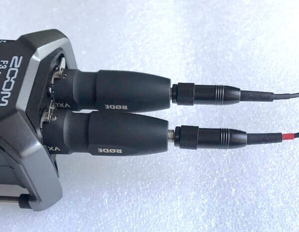 2 x Mono Clippy to Zoom F3 via FL062
