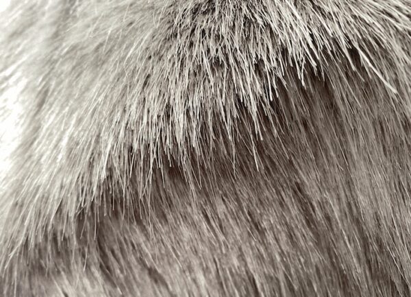 Radius DIY Fur Windshield Kits in Grey or Black