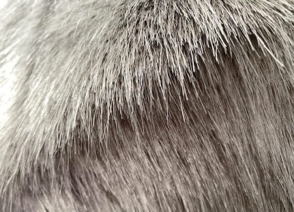 Radius DIY Fur Windshield Kits in Black or Grey